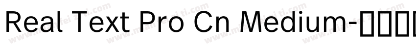 Real Text Pro Cn Medium字体转换